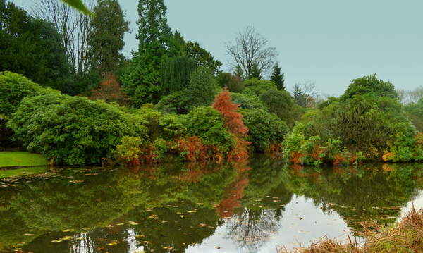 Autumn Reflection by Pixcellent Adventures