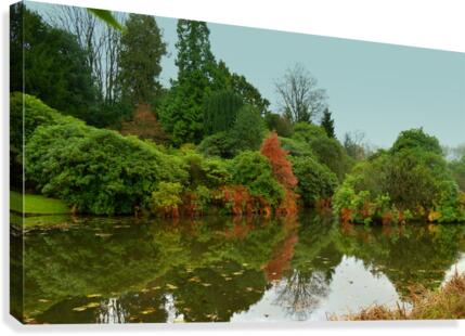 Autumn Reflection Canvas Print