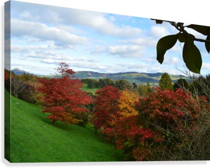 Natural fire Canvas Print
