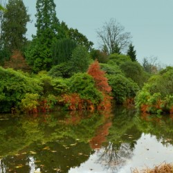 Autumn Reflection