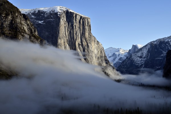 Misty Morning by Armand Williams