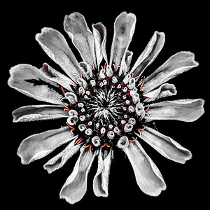 Subtle Burst