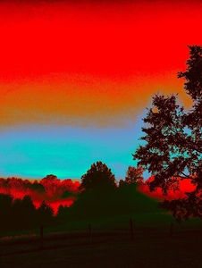 Fire and Ice Fog