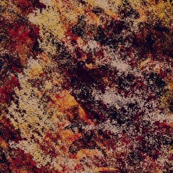 Autumn Burst