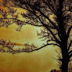 Autumn Awakens