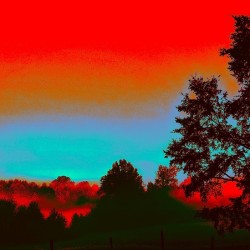 Fire and Ice Fog