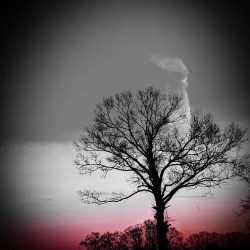 Morning Transition