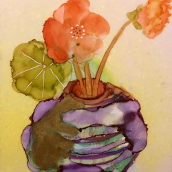 Orange Nasturiums