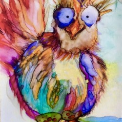 Sweetie Bird ❤️