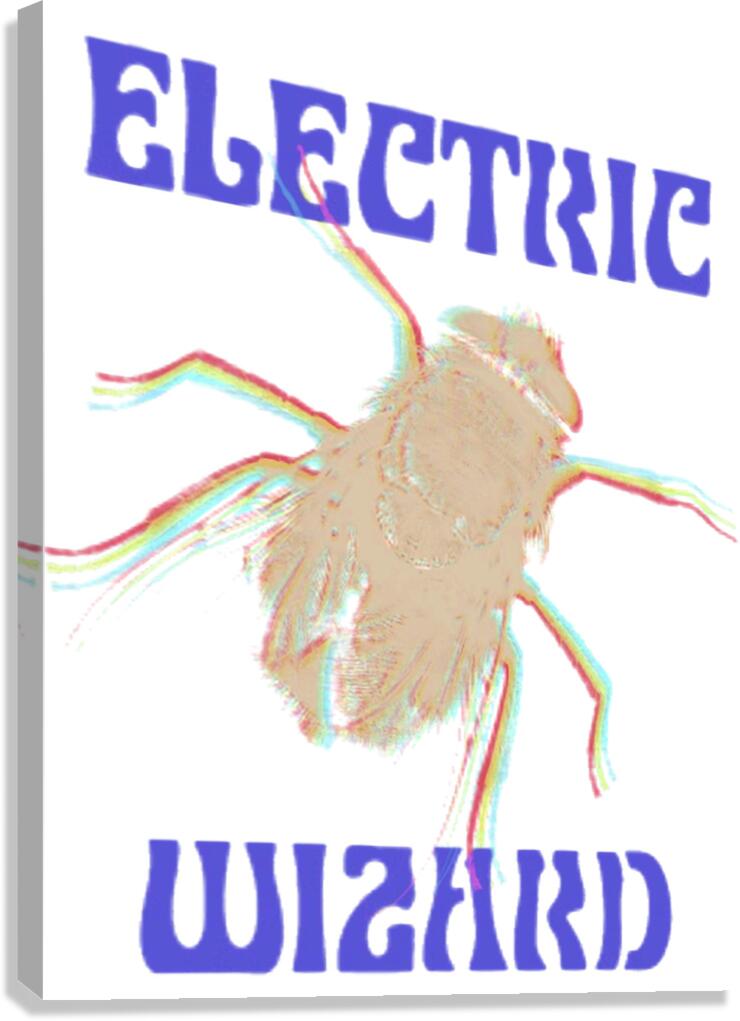Electric Wizard 8 Canvas Print