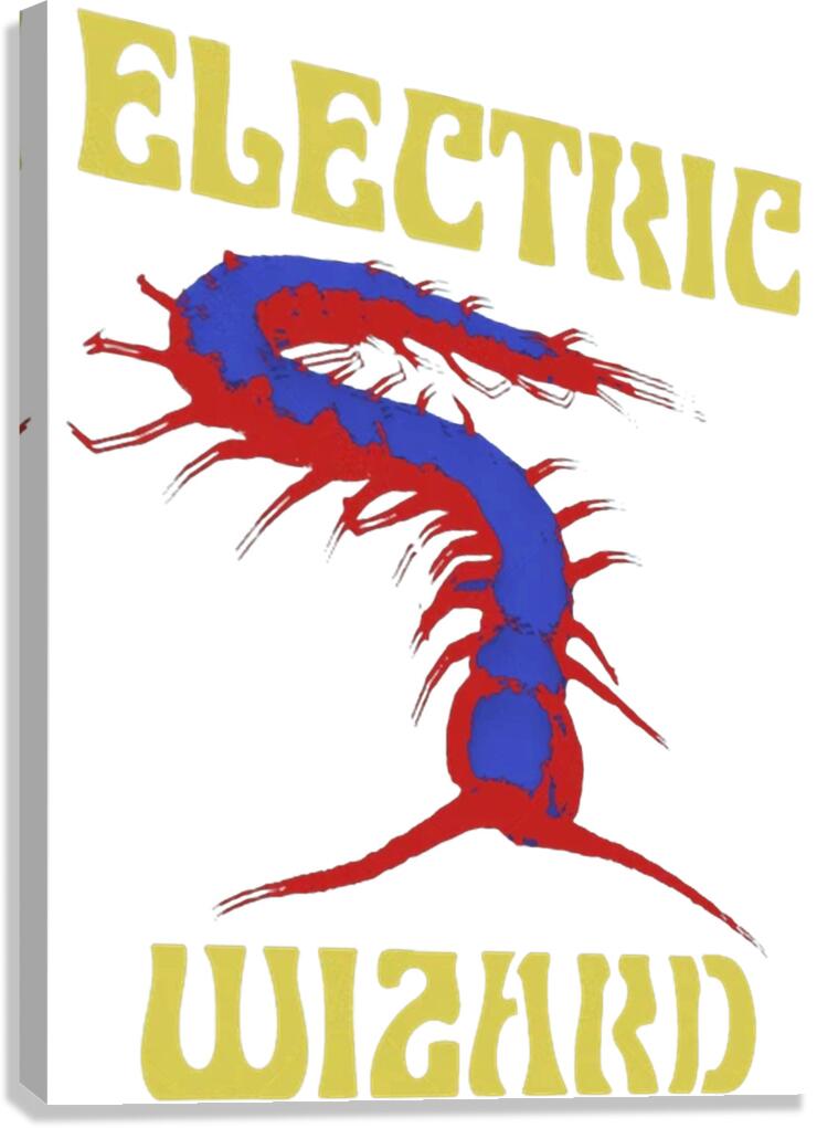 Electric Wizard 14 Canvas Print