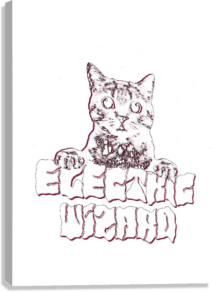 Electric Wizard 27 Canvas Print