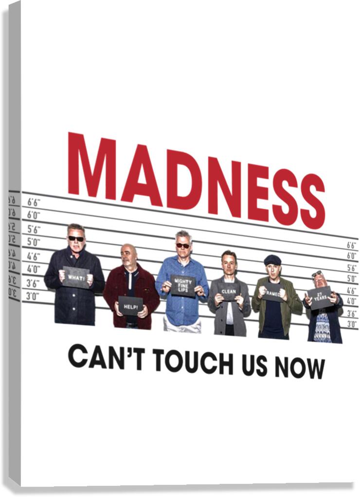Madness 25 Canvas Print
