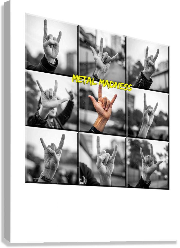 Madness 20 Canvas Print