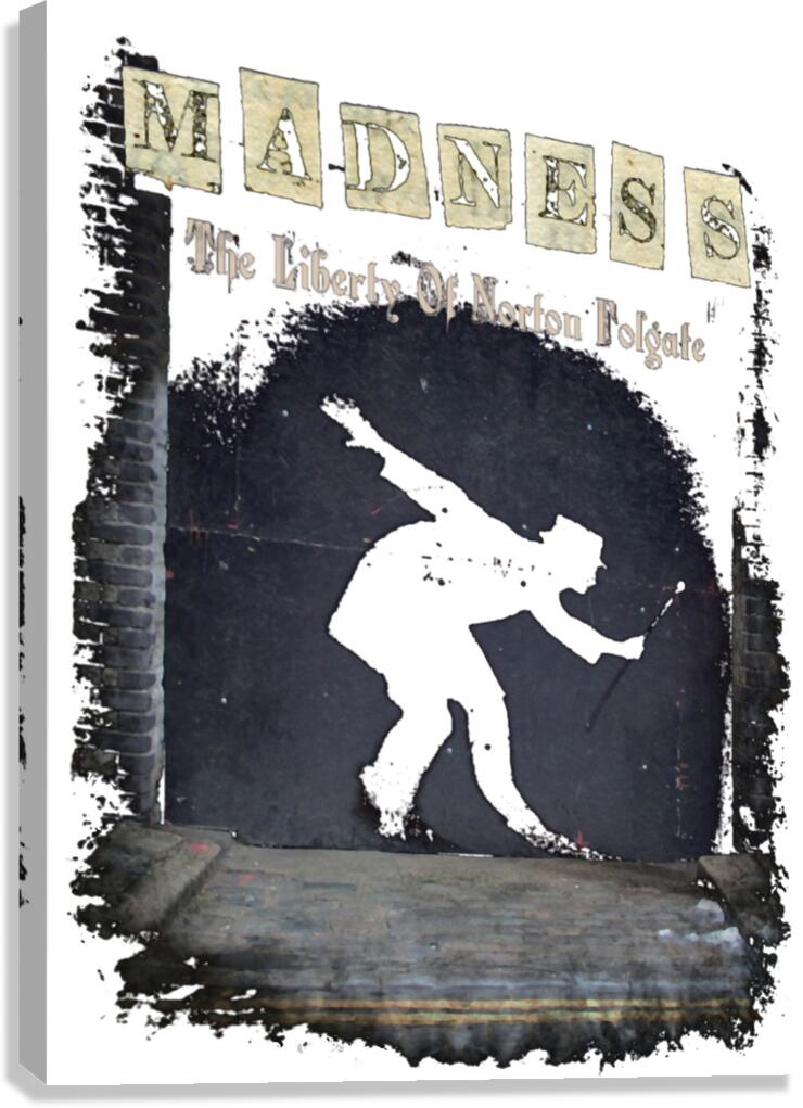 Madness 28 Canvas Print