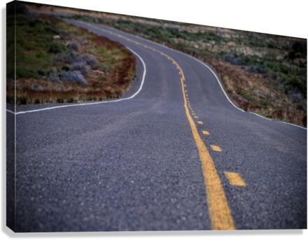 Down the Road Canvas Print