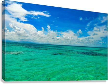 Open Water Canvas Print
