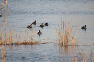 IMG_7824