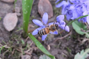 IMG_8651