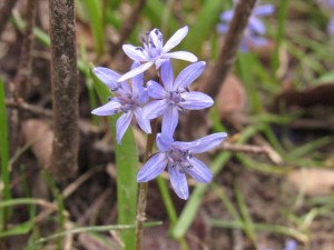 IMG_8656