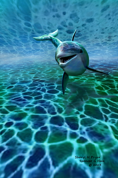 Swimming in the Shallows by Spencer G Hale