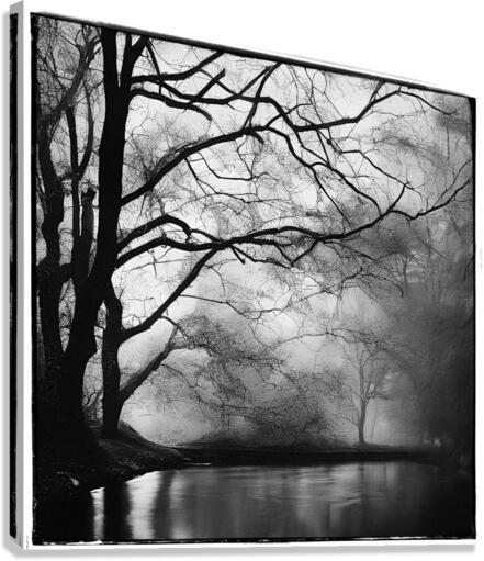 Mono 4 Canvas Print