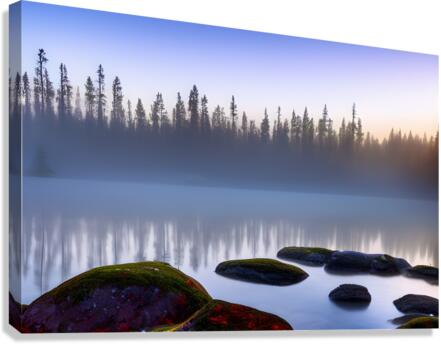 Life 2 Canvas Print