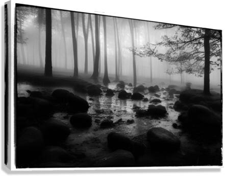 Bw 2 Canvas Print