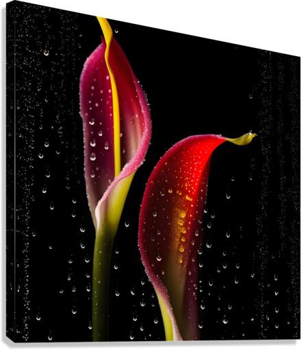 Flowers 2 Canvas Print