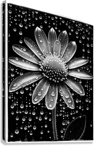  A CLO 4 Canvas Print