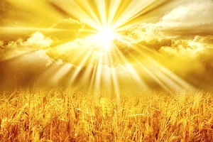 A vibrant and shimmering golden backdrop 3