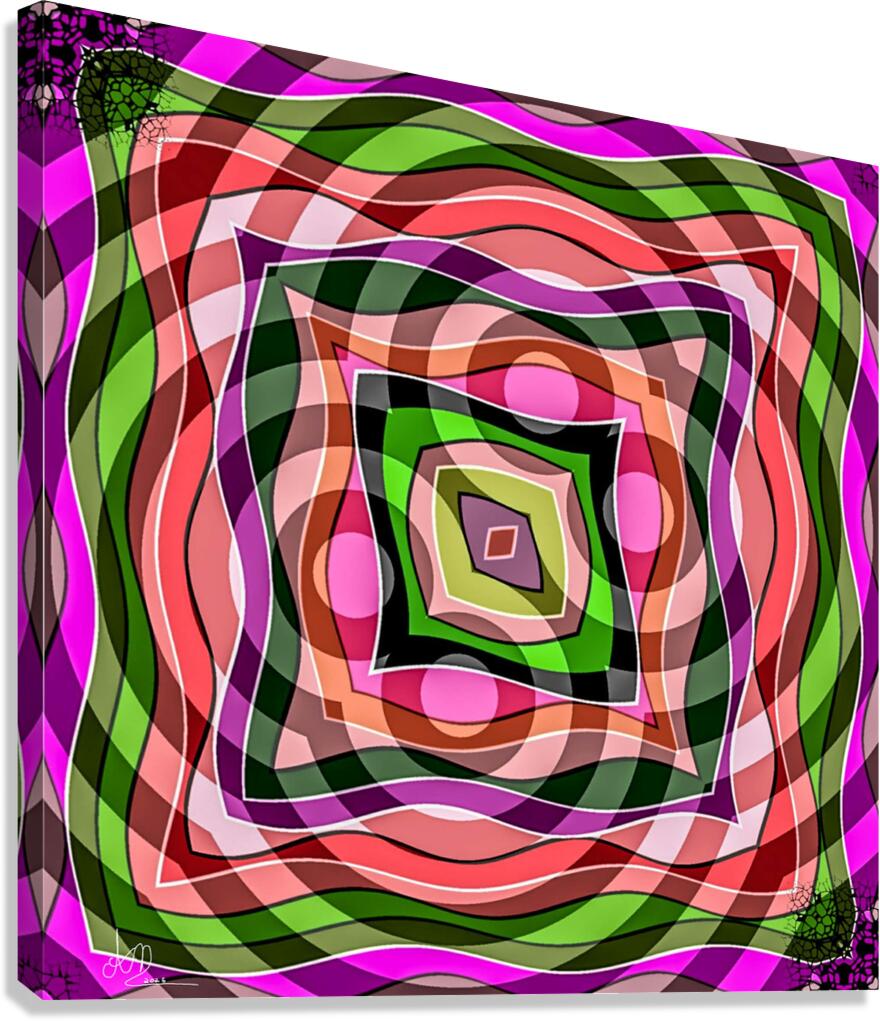 CS 3 Canvas Print