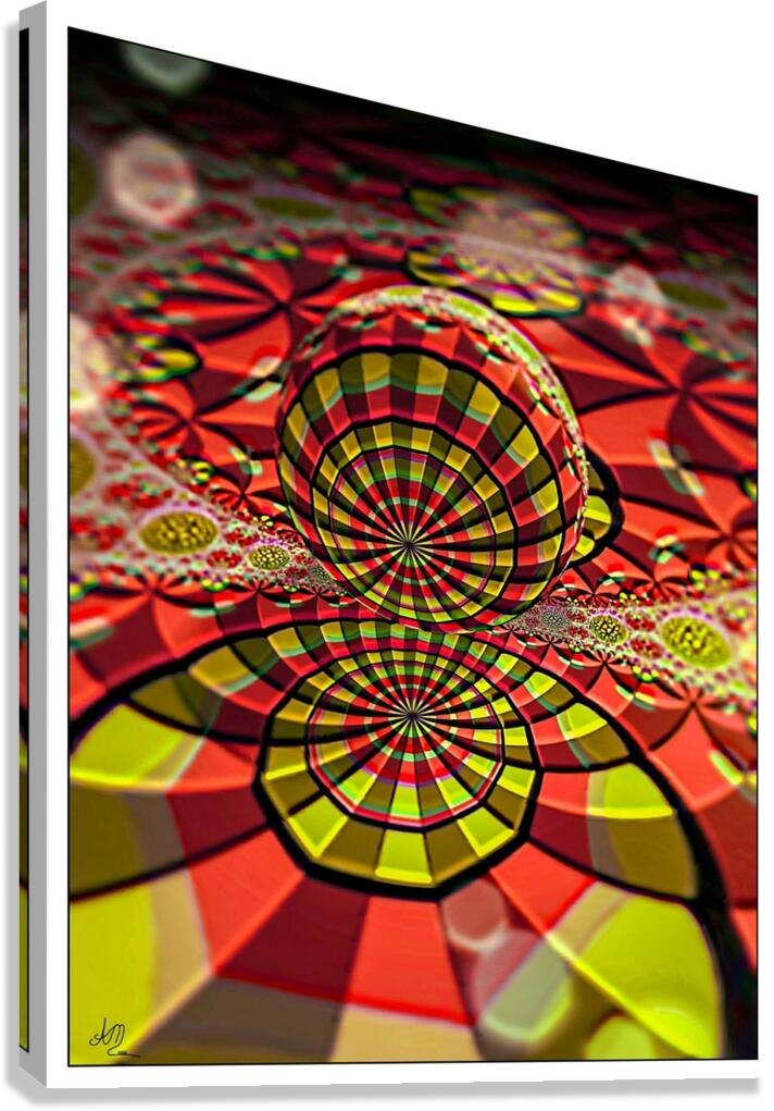 CS 6 Canvas Print
