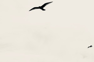 Reaching
