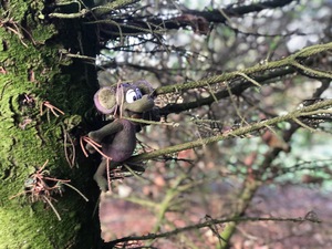 Mr M - In The Woods 1 of 11