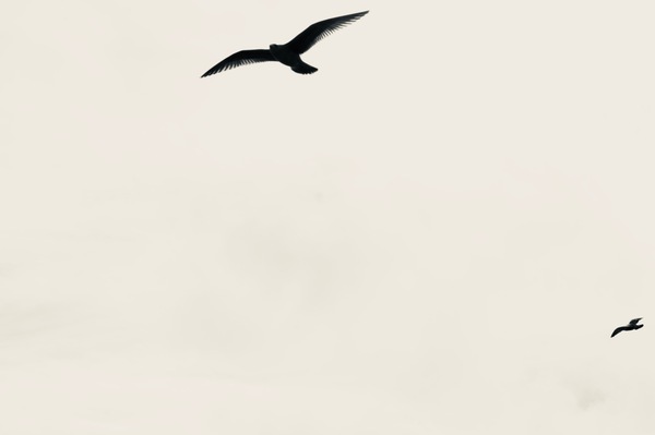 Reaching Print