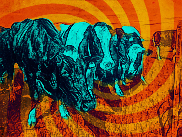 Coos Print