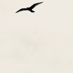 Reaching