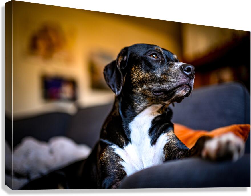 Z72 4022 Canvas Print