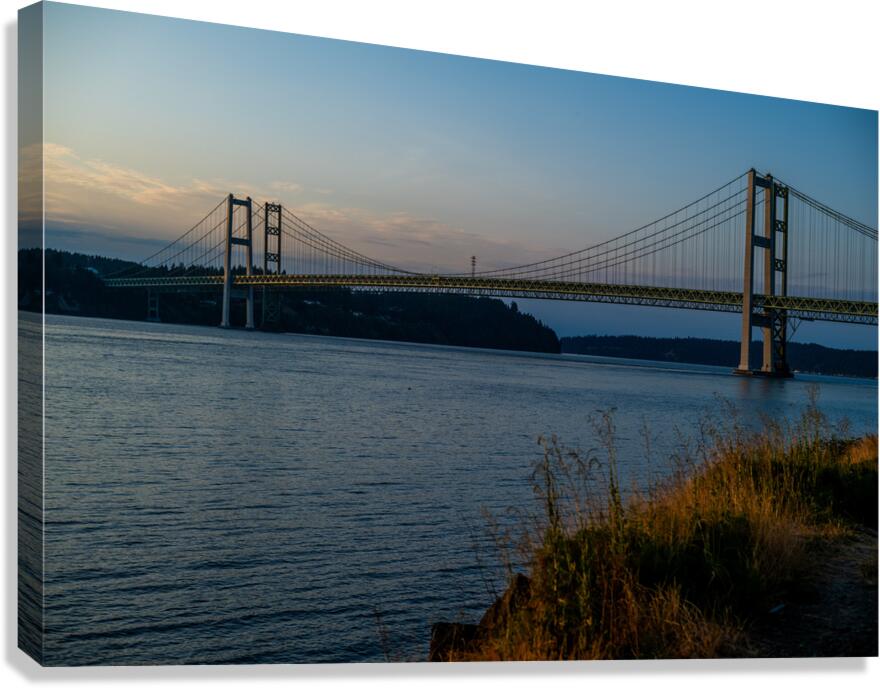 Z72 2594 Canvas Print