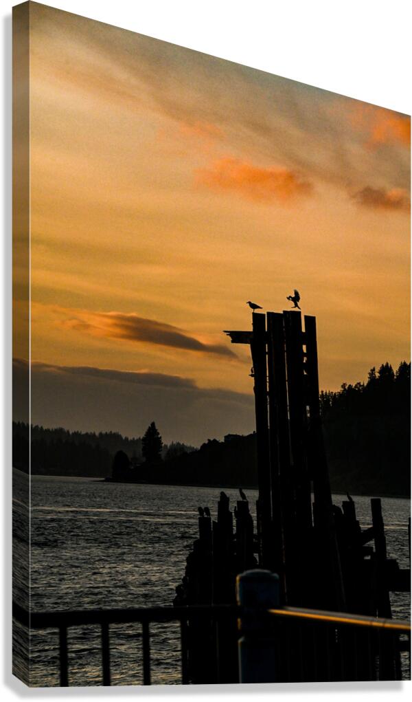 Z72 5951 Canvas Print