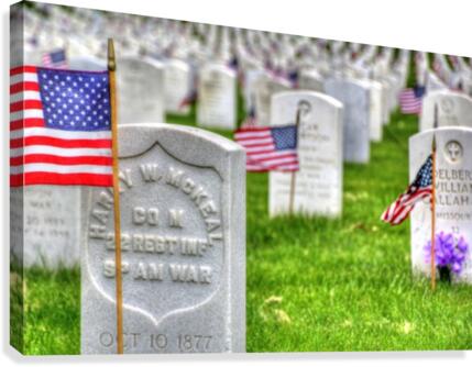 Memorial Flags Canvas Print