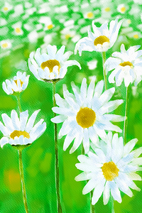 Summer Daisies Flower Garden Artwork 1