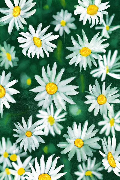 White Daisy Flower Gouache Pattern by Shubham Sharma
