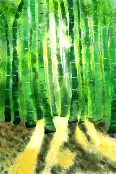 Bamboo tree in the forest with sunlight Print