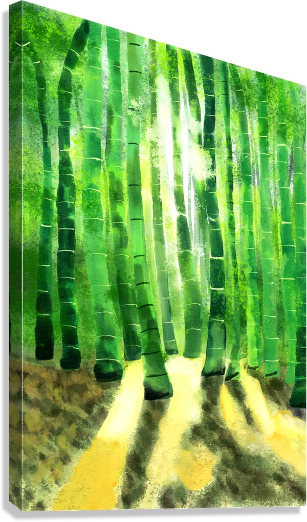 Bamboo tree in the forest with sunlight Canvas Print