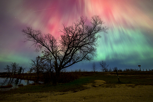 Under Heavens Blessing