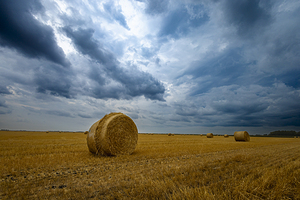 Hay Bales Under a Cloudy Sky