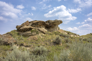 Whispers of the Badlands