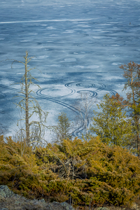 Ice Circles